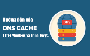 Hướng dẫn xóa DNS cache trên Windows và trình duyệt